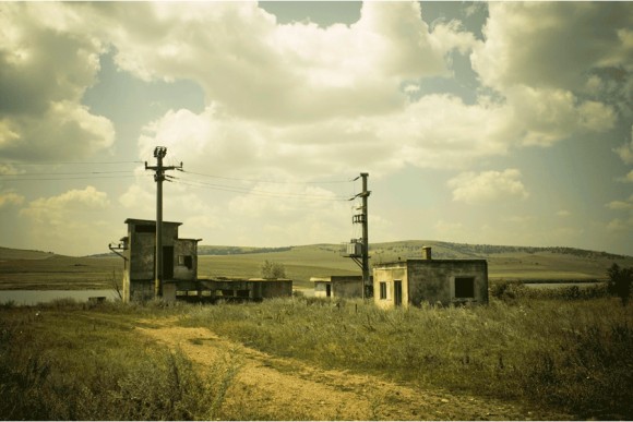 Dogs by Bogdan Mirică - Location Photo