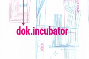 dok.incubator Workshop Calls for Rough-cut Feature Docs - DEADLINE: 31st January, 2018