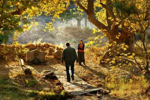 The Wild Pear Tree by Nuri Bilge Ceylan