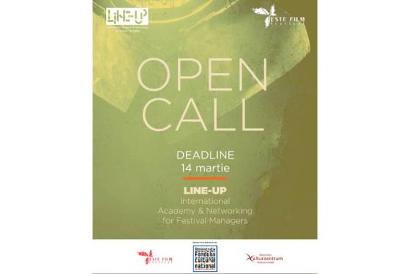 OPEN CALL for LINE-UP: International Academy &amp; Networking for Festival Managers - May 29 - 30, 2025, Sibiu, Romania, 3rd Edition