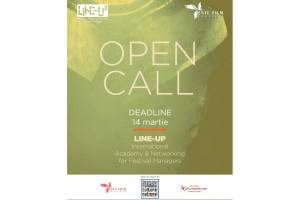 OPEN CALL for LINE-UP: International Academy &amp; Networking for Festival Managers - May 29 - 30, 2025, Sibiu, Romania, 3rd Edition