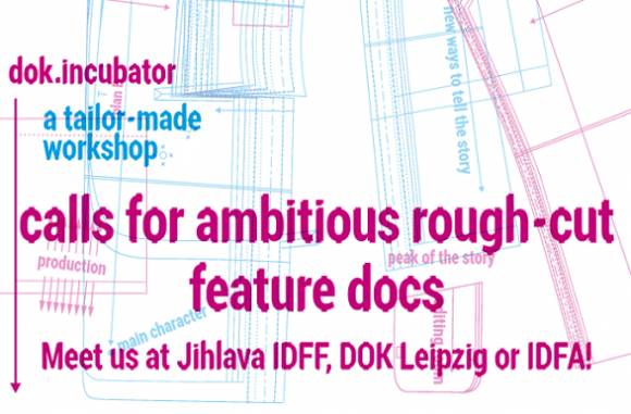 Apply for dok.incubator: deadline January 31st