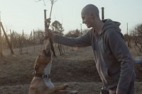 My dog killer, Director: Mira Fornay