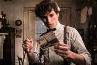 Eddie Redmayne in Fantastic Beasts - The Crimes of Grindelwald by David Yates (2018)